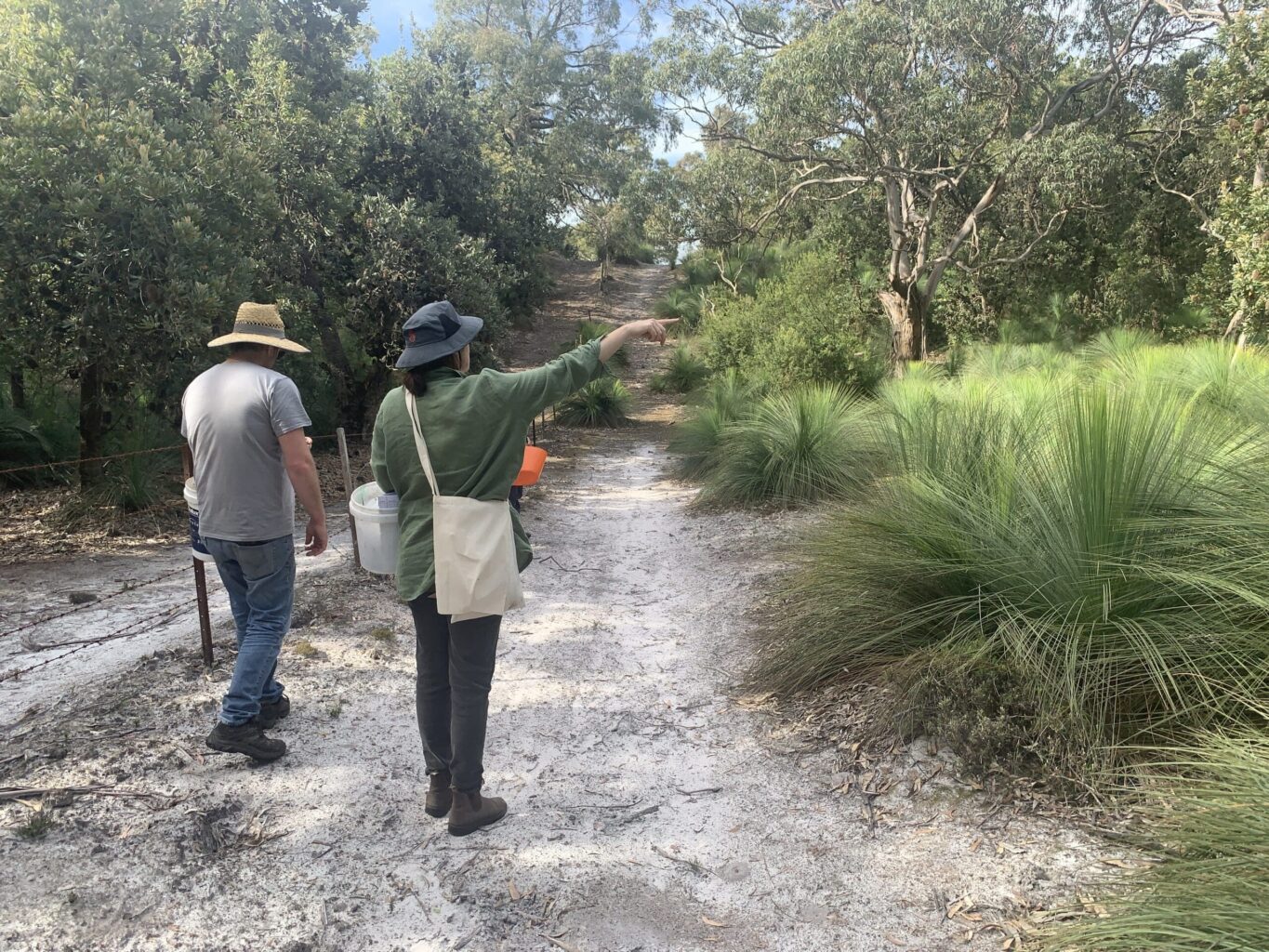 Landcare Corner Inlet event