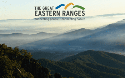 Why community conservation is the missing link