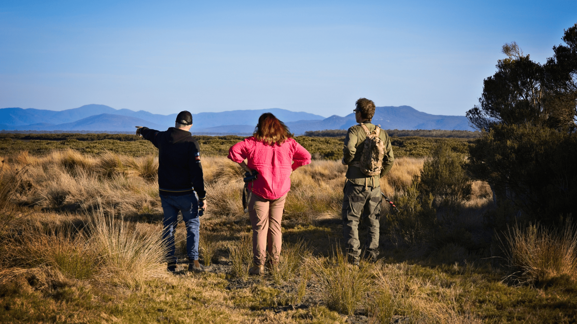 Exploring saltmarsh landscape
