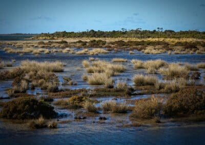 Tidal pools, Bullock Island