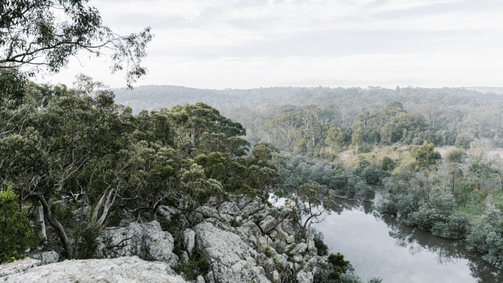 Macalister River, EcoGipps