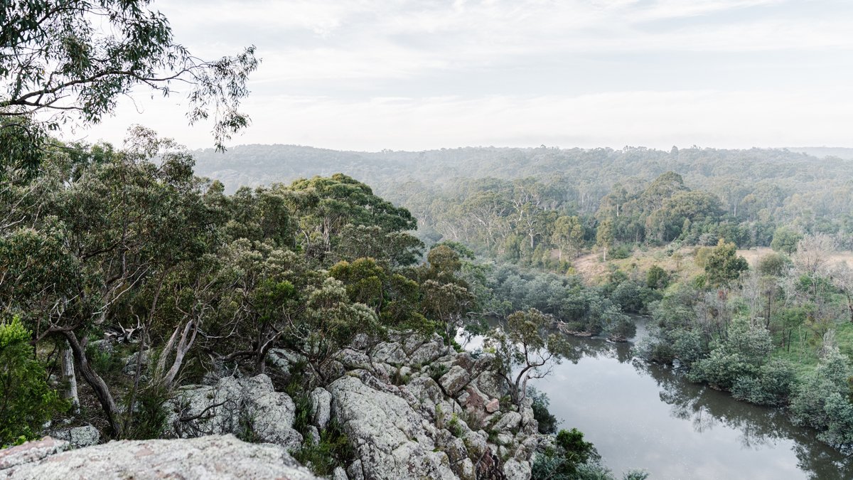 Macalister River, EcoGipps