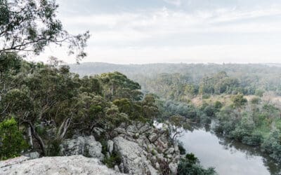 EcoGipps: Growing a Living Legacy in Central Gippsland