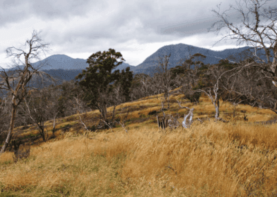 Victorian High-Country