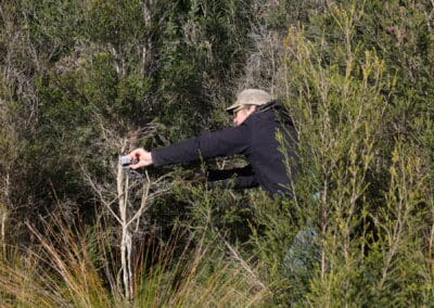 Monitoring feral species