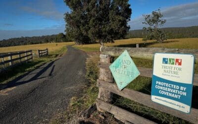 What Will It Take to Scale Conservation Covenants in Australia?