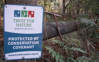 Private land covenants: why landholders act