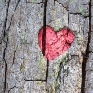 One-Off Donation - BioDiversity Legacy