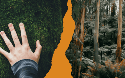 When Support for Nature Is High, Why Is Funding So Low?