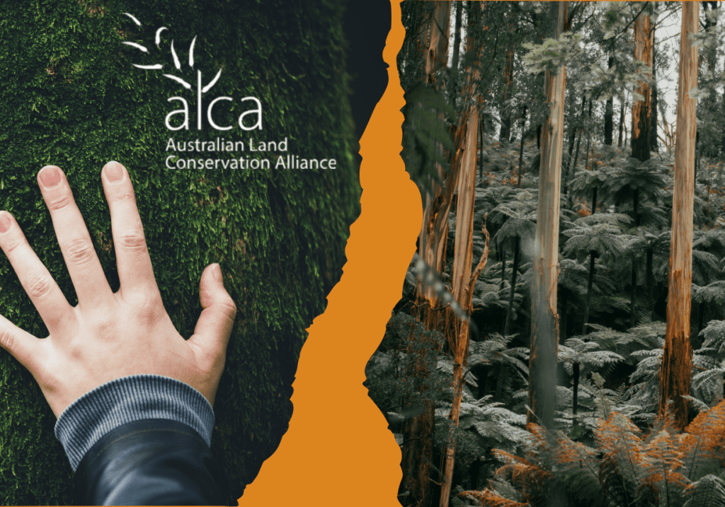 ALCA report blog banner 2