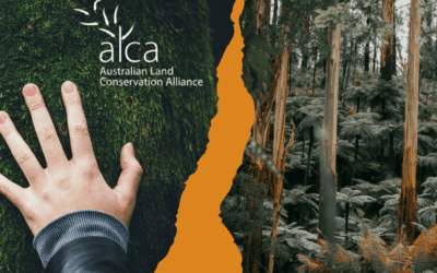 When Support for Nature Is High, Why Is Funding So Low?