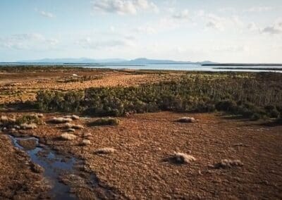 Bullock Island from above.