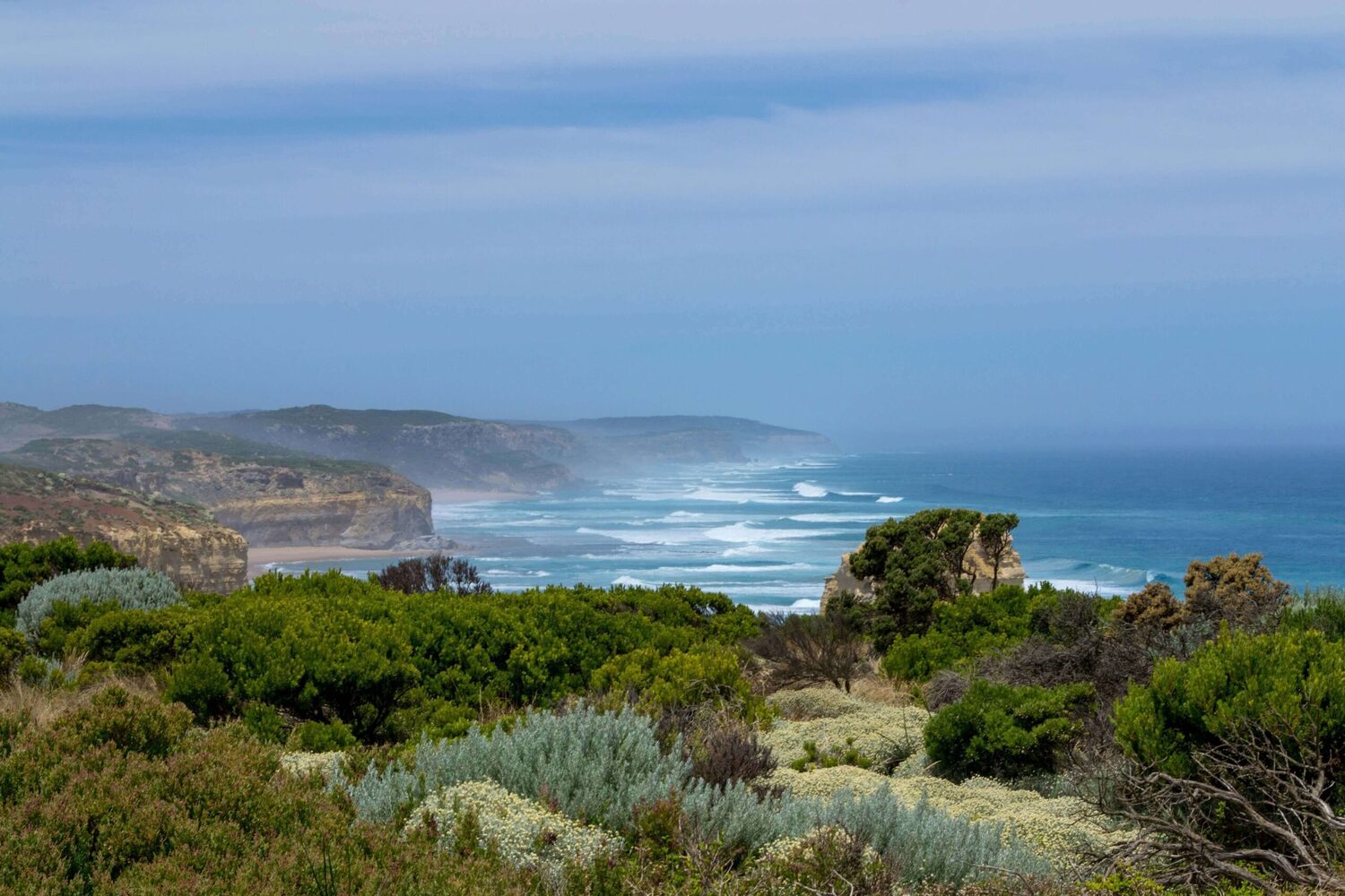 Bass Coast coastal heath