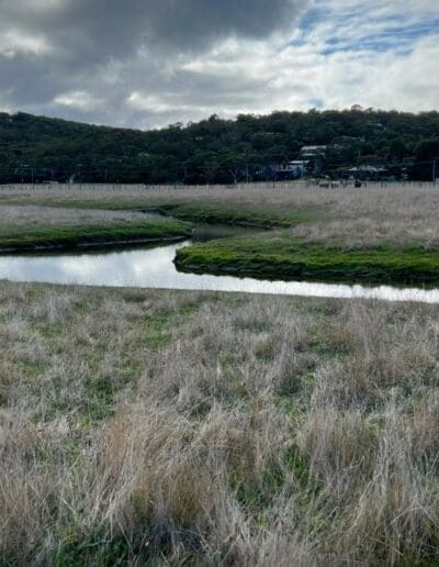 Painkalac Valley to Aireys Inlet