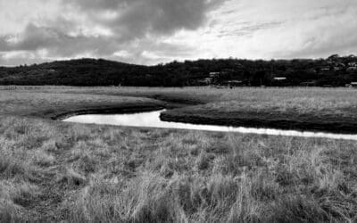 Community Secures Major Win for Painkalac Valley Wetlands