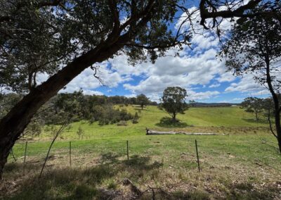 EcoGipps North Paddock